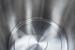 Weck WAT25 Einkochautomat Heißgetränkeautomat Entsafter Sterilisieren Warmhalten 30 Liter edelstahl schwarz
