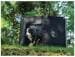 Camp4 Hundefreigehege mit Netz-Fenster Camping Outdoor faltbar schwarz
