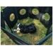 Camp4 Hundefreigehege mit Netz-Fenster Camping Outdoor faltbar schwarz