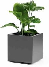Euro3plast Greener KEBE Pflanzkasten Blumenkasten Pflanzentopf Wasserspeicher 40x40cm Kunststoff anthrazit