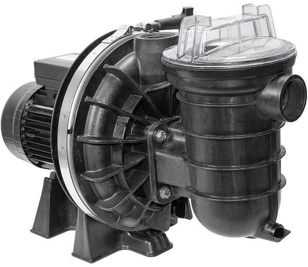Defekt Bastler Pentair P-STR-101E2 Poolfilterpumpe Poolpumpe 16 m³/h 1PS schwarz