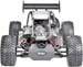 Reely Carbon Fighter III Limited-Edition 1:6 RC Modellauto Benzin Buggy Heckantrieb 2WD RtR 2,4GHz