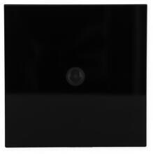 Gira 5561000 System 106 G Kameramodul Türsprechkamera-Modul 1 Wohneinheit schwarz