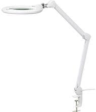 Toolcraft TO-7427319 LED Lupenleuchte 1,75 Vergrößerung Klemme 12 Watt dimmbar weiß