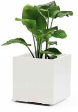 Euro3plast Greener KEBE Pflanzkasten Blumenkasten Pflanzentopf Wasserspeicher 40x40cm Kunststoff weiß