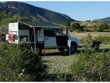 Gordigear Gumtree Van-Markise 250cm breit Camping Reisemobil Wohnmobil