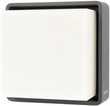 Steinel L 845 C LED-Außenwandleuchte ohne Sensor ohne Bewegungsmelder mit Bluetooth anthrazit