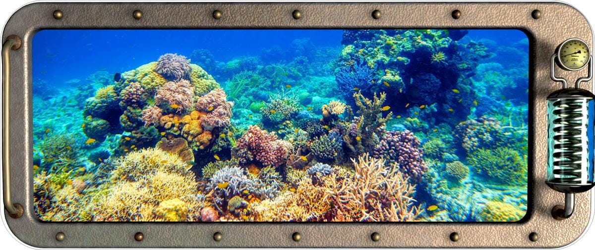 Pool Design Poolaufkleber Dekosticker Fotomotiv Nautic C Korallen 600x1450mm Premium