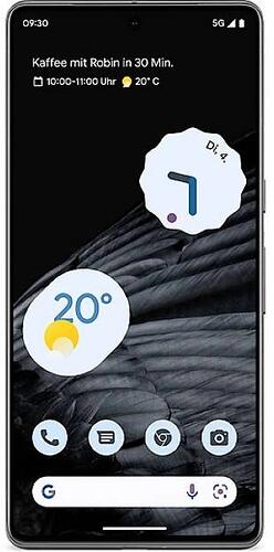Google Pixel 7 Pro 6,71" Smartphone Handy 256GB 50MP 5G Dual-SIM NFC schwarz