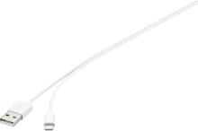 Basetech BT-2302122 Apple Anschlusskabel Ladekabel iPad iPhone iPod Lightning-Anschluss 2 Meter weiß