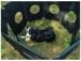 Camp4 Hundefreigehege mit Netz-Fenster Camping Outdoor faltbar schwarz